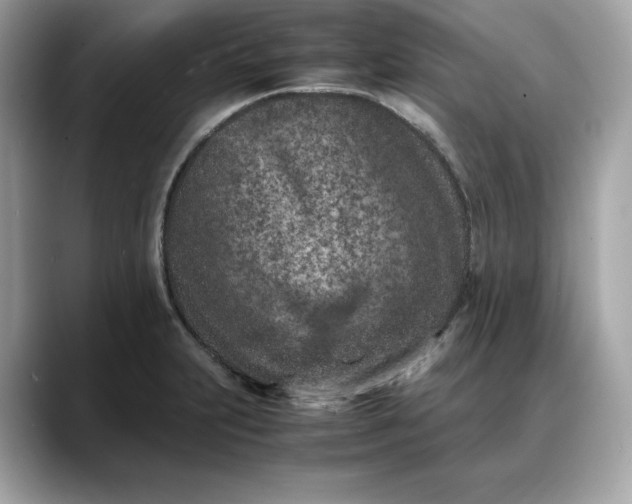 X0000088361231200706051017