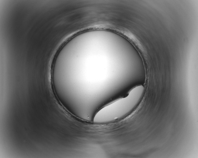 X0000088361232200706051017