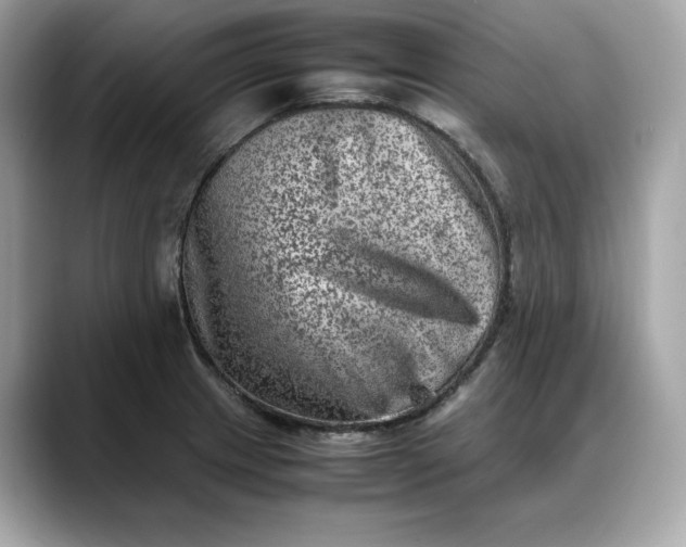 X0000088361233200706051017