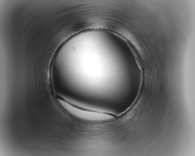 X0000088361234200706051017