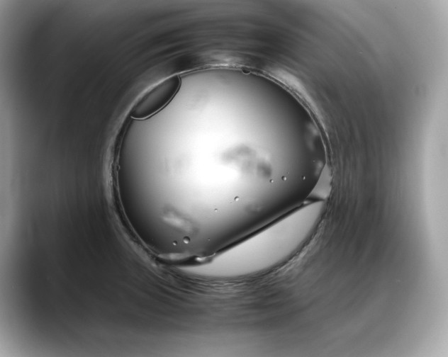 X0000088361235200706051017