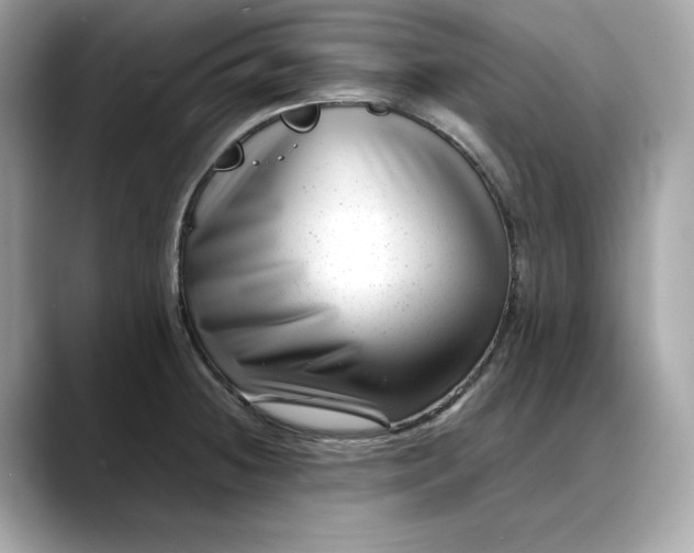 X0000088361236200706051017