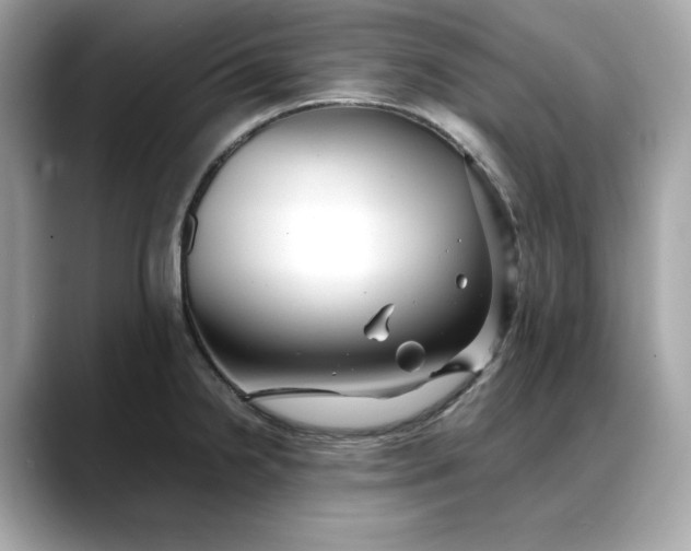 X0000088361238200706051017