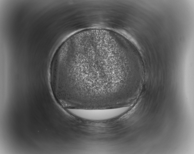 X0000088361239200706051017