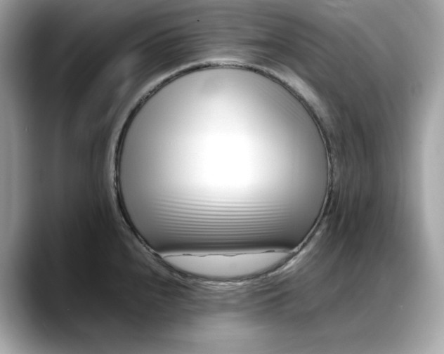 X0000088361240200706051017