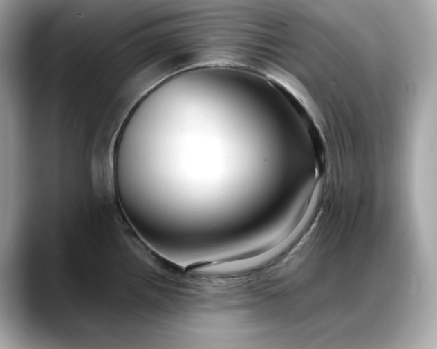 X0000088361242200706051017