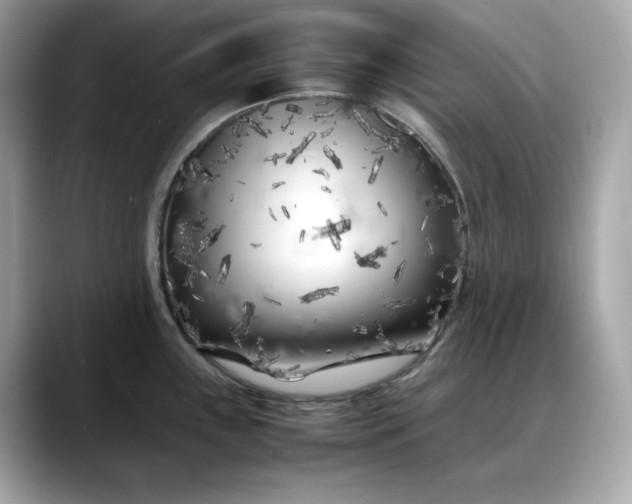 X0000088361243200706051017