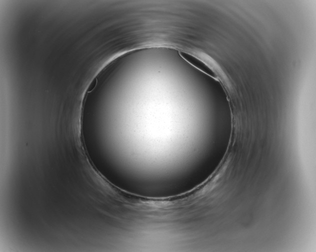 X0000088361244200706051017