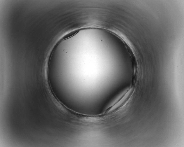 X0000088361246200706051017