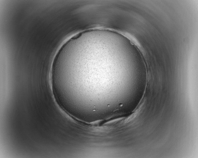 X0000088361247200706051017