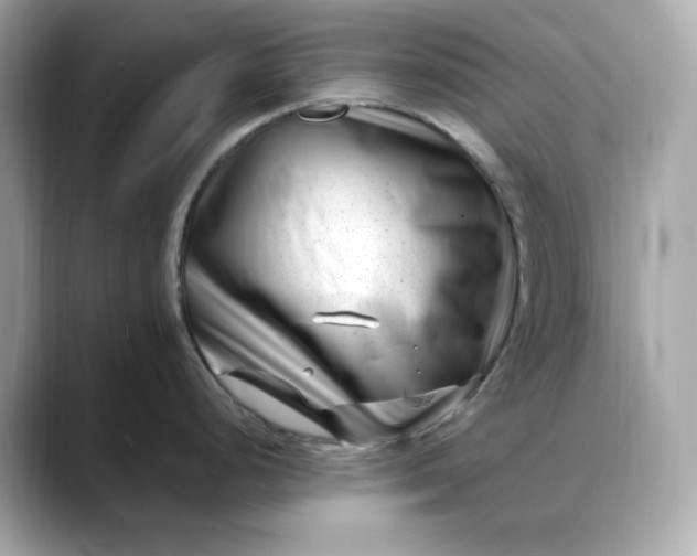 X0000088361248200706051017