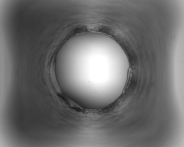 X0000088361249200706051017