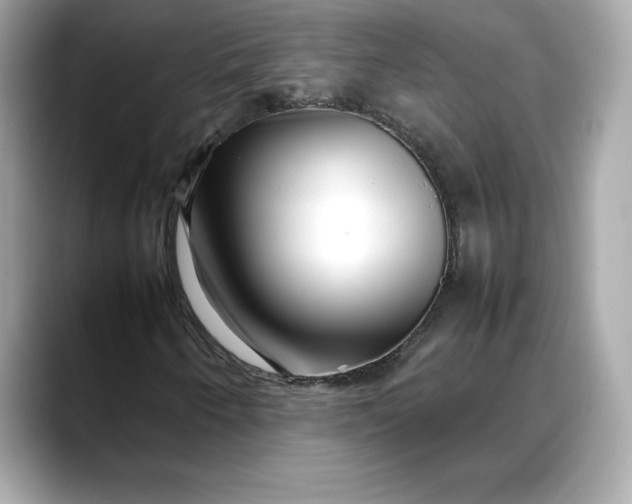 X0000088361250200706051017