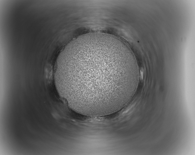 X0000088361251200706051017