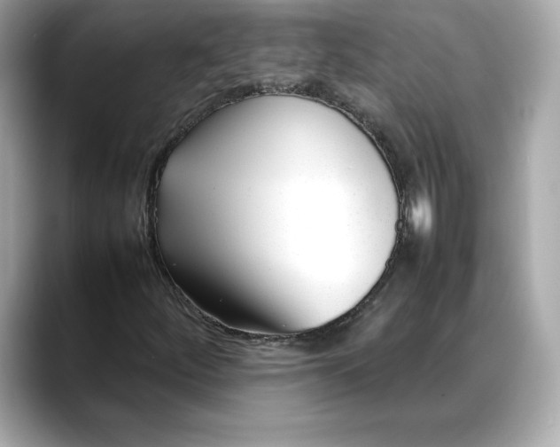 X0000088361252200706051017