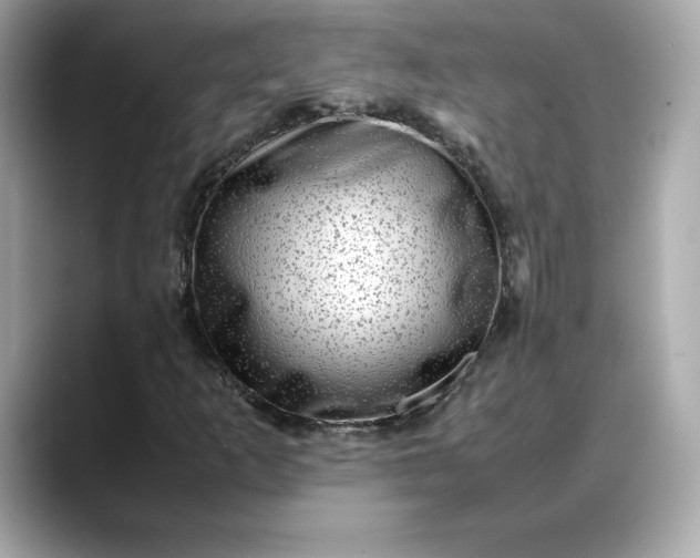 X0000088361253200706051017