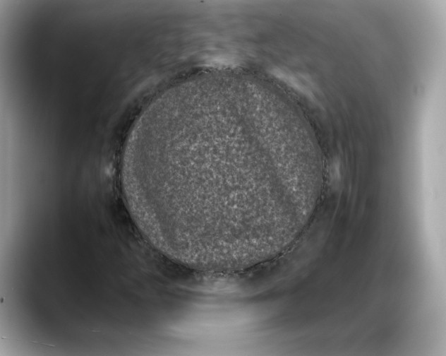 X0000088361254200706051017