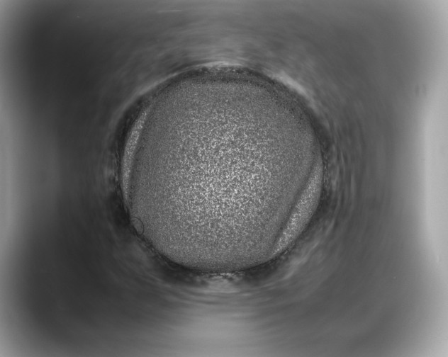 X0000088361255200706051017