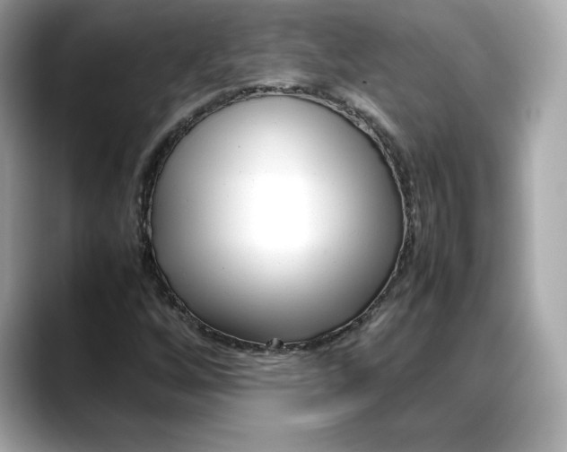 X0000088361256200706051017