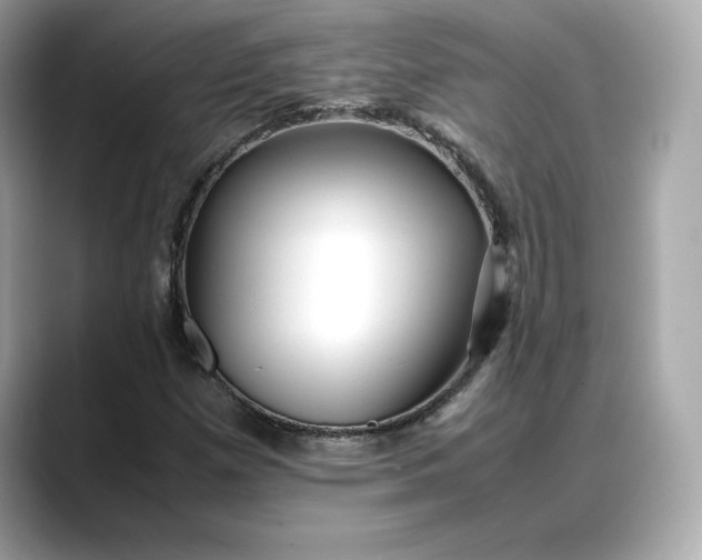 X0000088361257200706051017