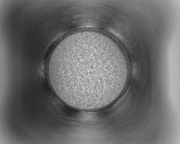 X0000088361258200706051017