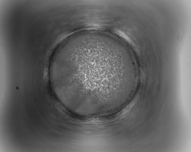 X0000088361259200706051017