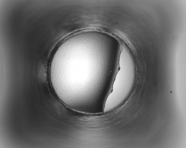 X0000088361260200706051017