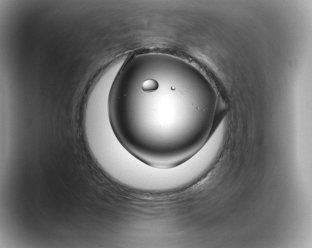 X0000088361261200706051017