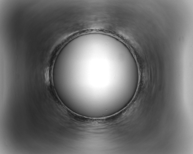 X0000088361262200706051017