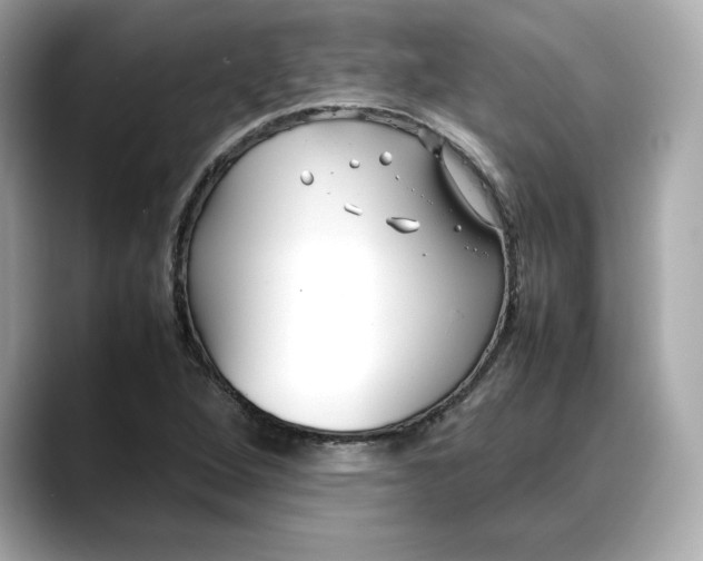 X0000088361264200706051017