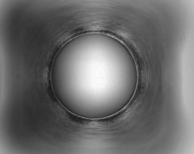 X0000088361265200706051017