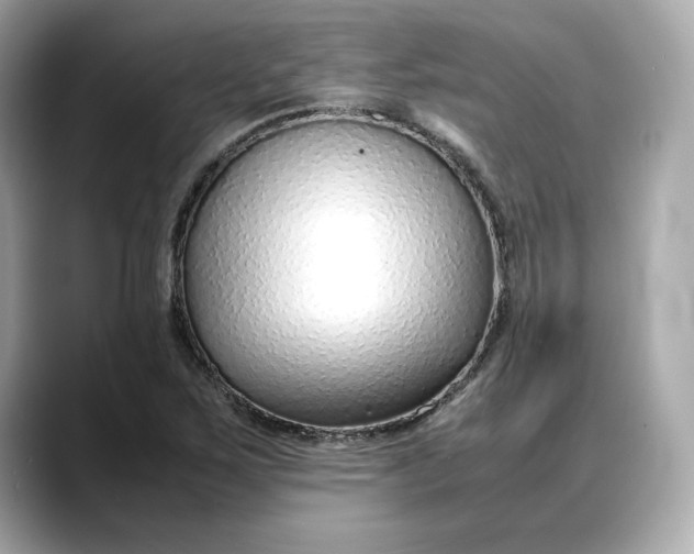 X0000088361267200706051017