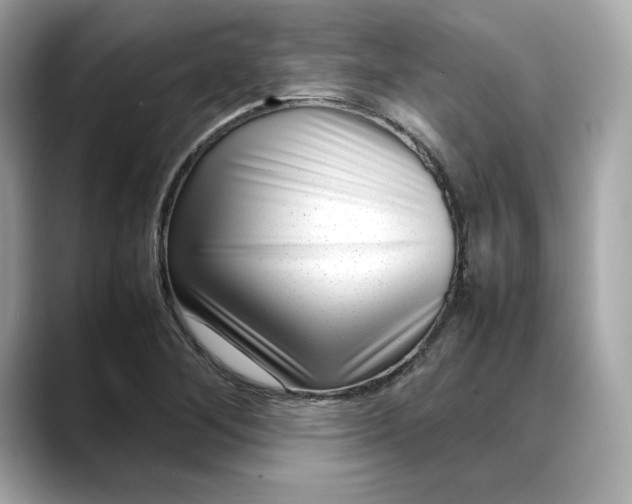 X0000088361268200706051017