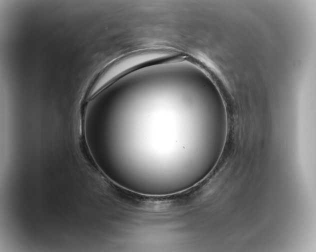 X0000088361269200706051017