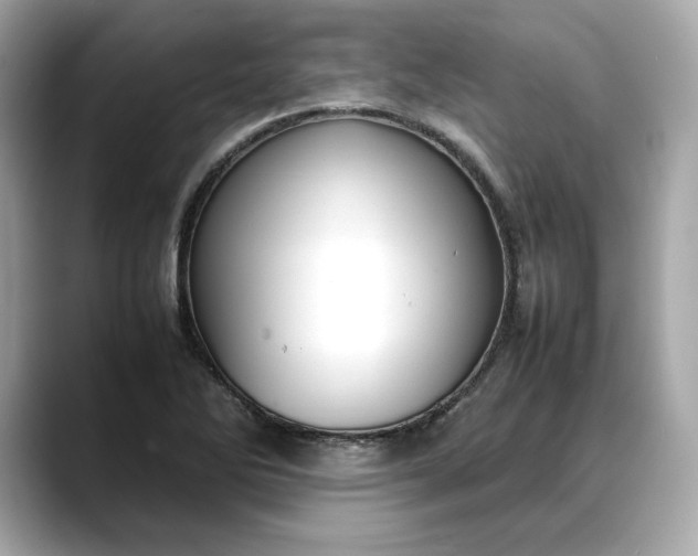 X0000088361270200706051017