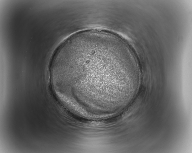 X0000088361271200706051017