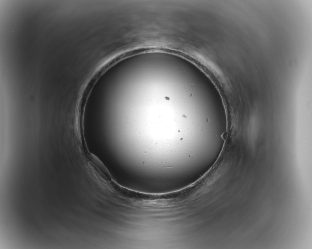 X0000088361272200706051017