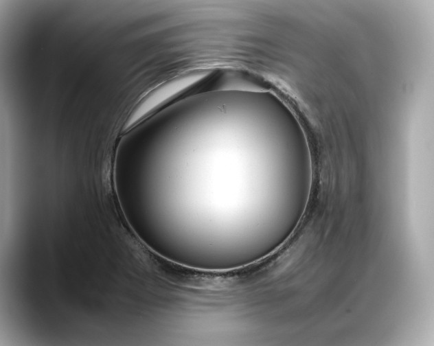 X0000088361273200706051017