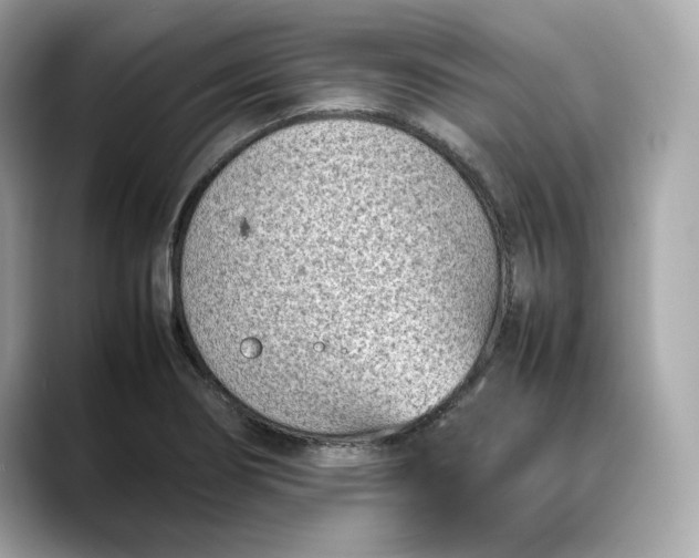 X0000088361274200706051017