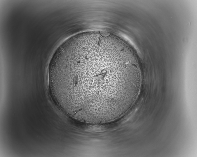 X0000088361275200706051017