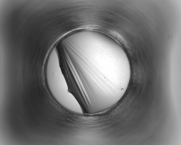 X0000088361276200706051017