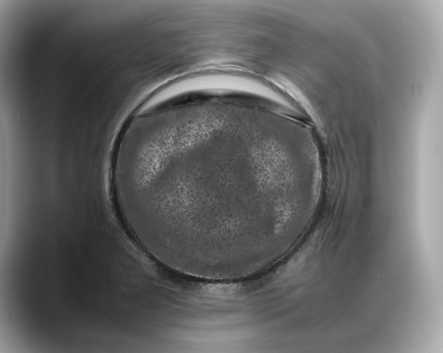 X0000088361277200706051017