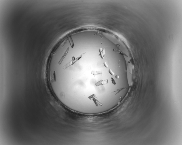 X0000088361279200706051017