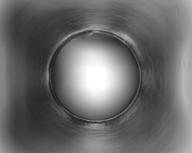 X0000088361280200706051017