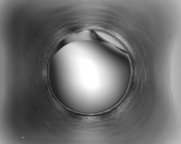 X0000088361281200706051017