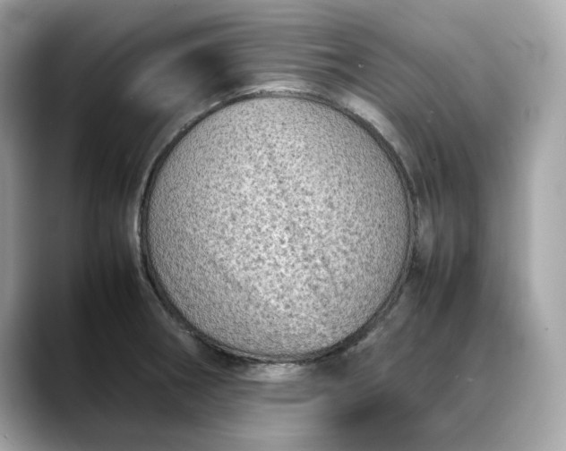 X0000088361282200706051017