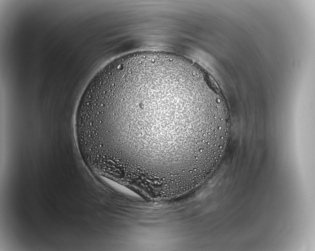 X0000088361283200706051017