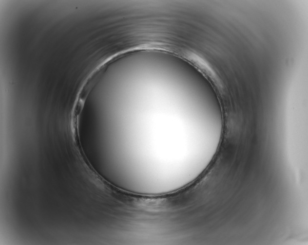 X0000088361284200706051017