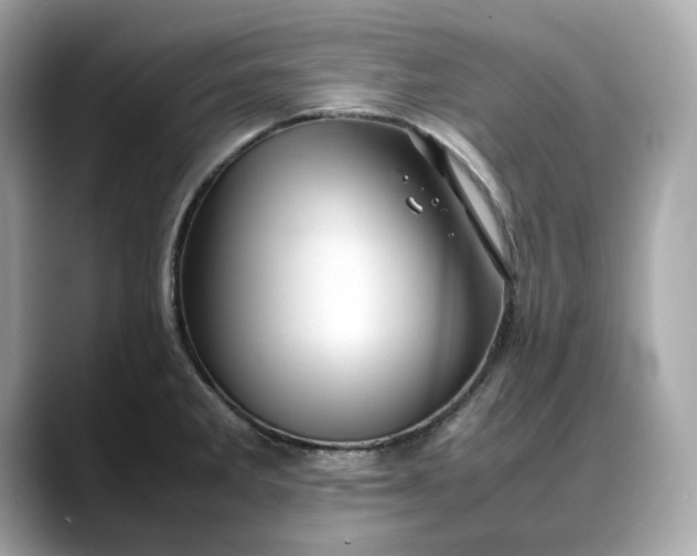 X0000088361285200706051017