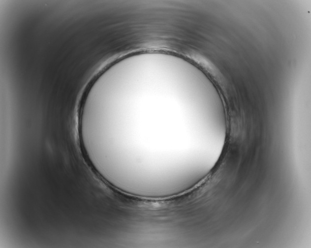 X0000088361286200706051017